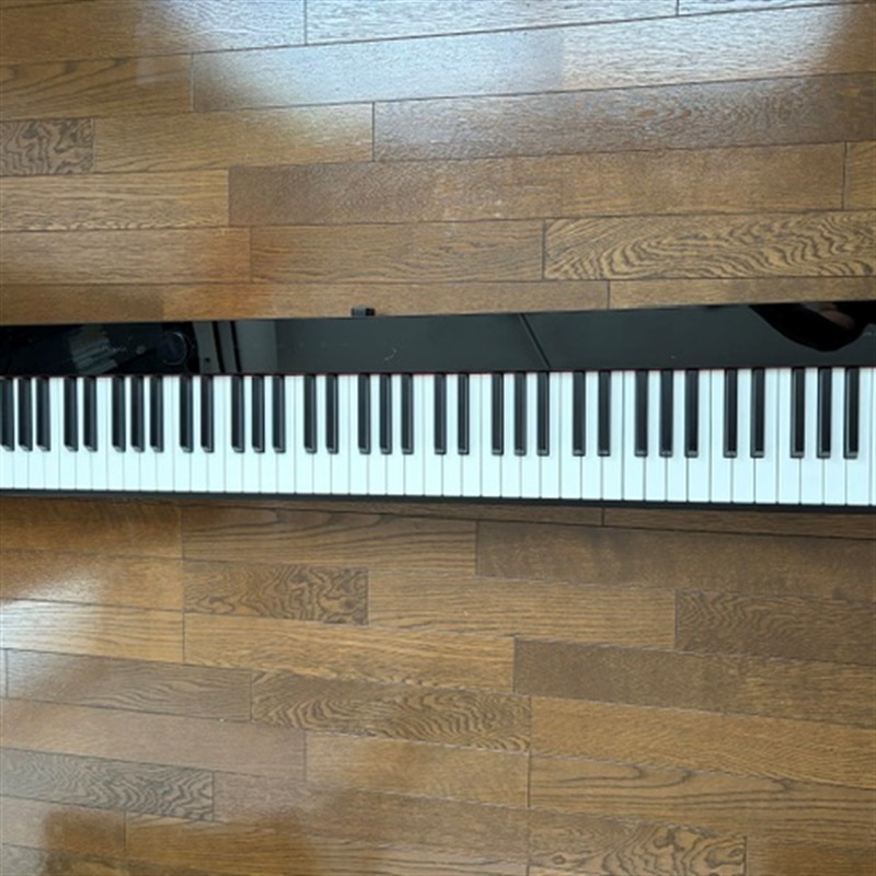 CASIO PX-S1100の画像